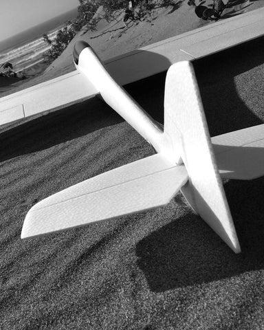 Dream Flight Ahi Freestyle RC Sloper EPO Glider DFAH100