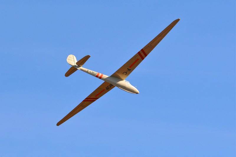 Tony Ray 1:6.5 DFS Weihe 2770mm [kit-to-build] TRGS015
