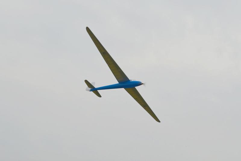 Tony Ray 1:6.5 DFS Weihe 2770mm [kit-to-build] TRGS015